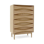 Vodder Tallboy - tall chest with ordered drawers