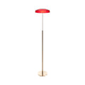 Dora Floor Lamp - rounded diffusing shade on a slender stem