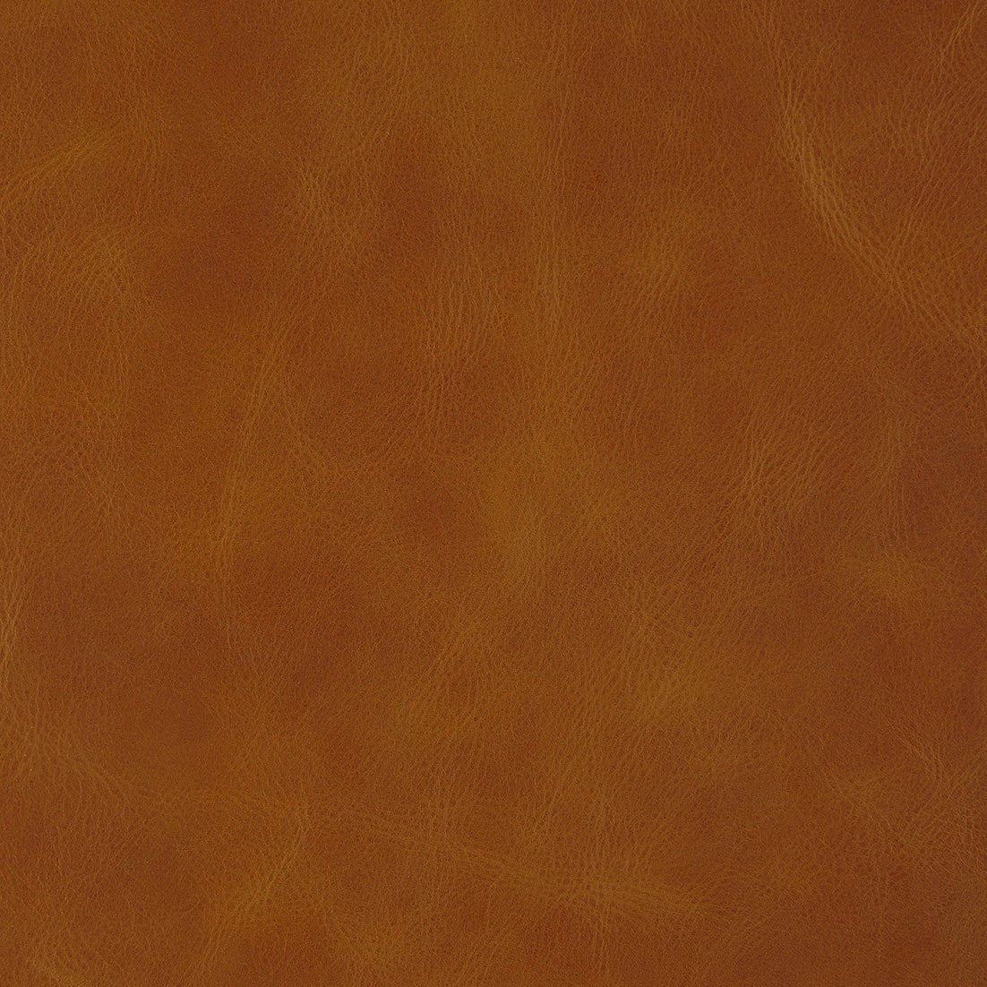 Waxed Leather