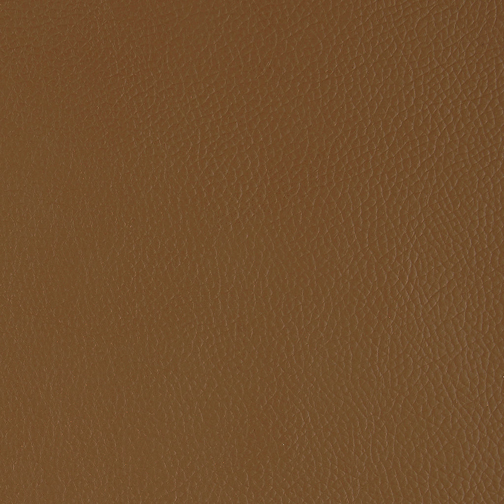 Corrected Leather