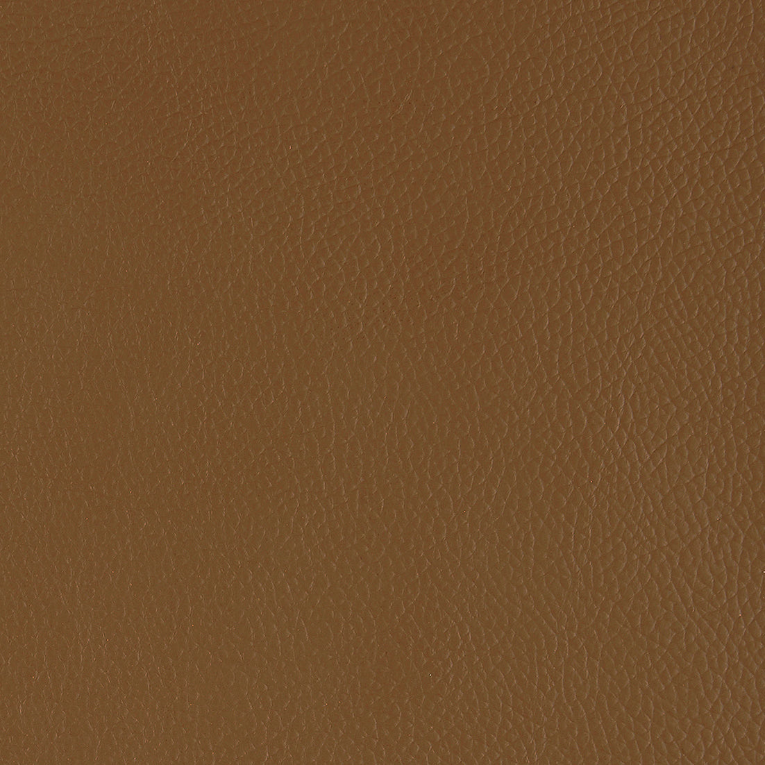 Corrected Leather