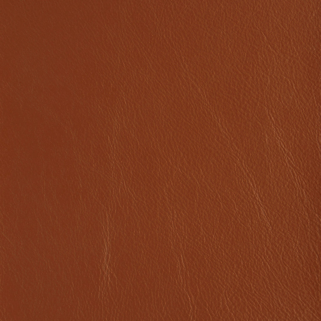 Aniline Leather