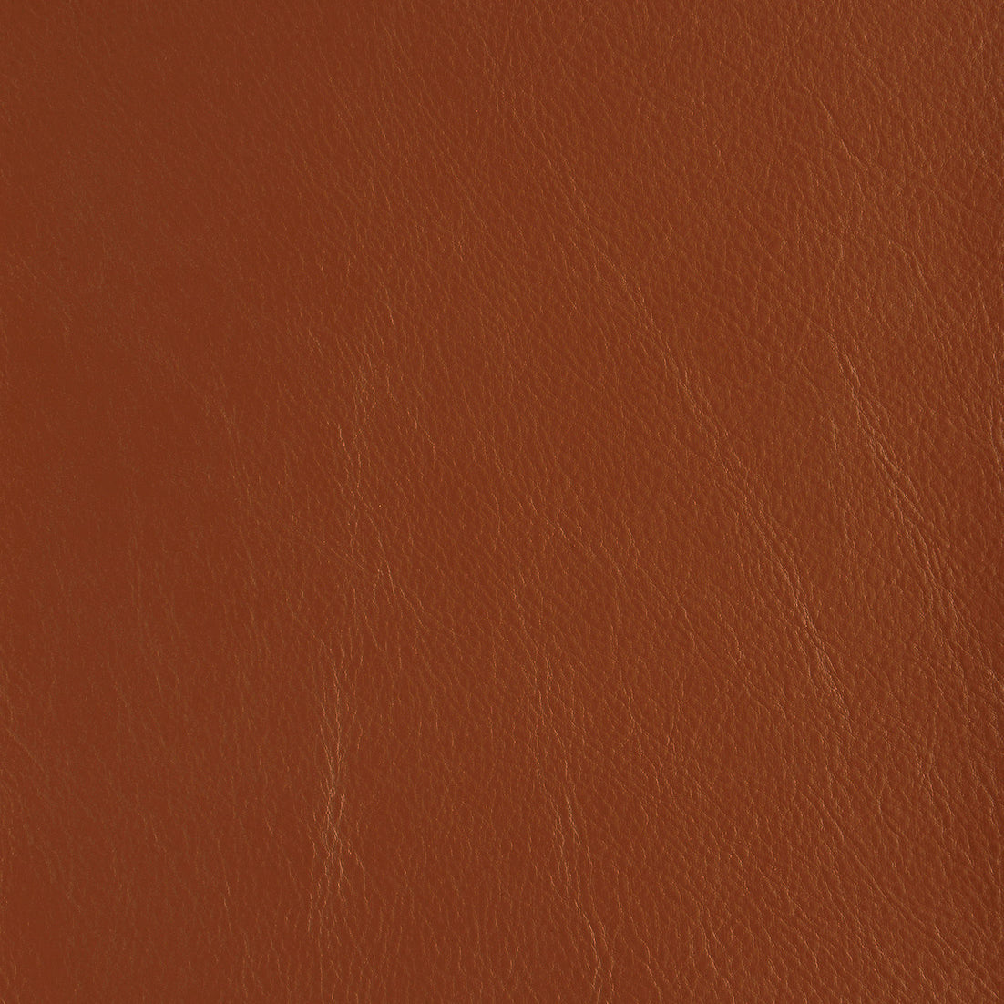 Aniline Leather