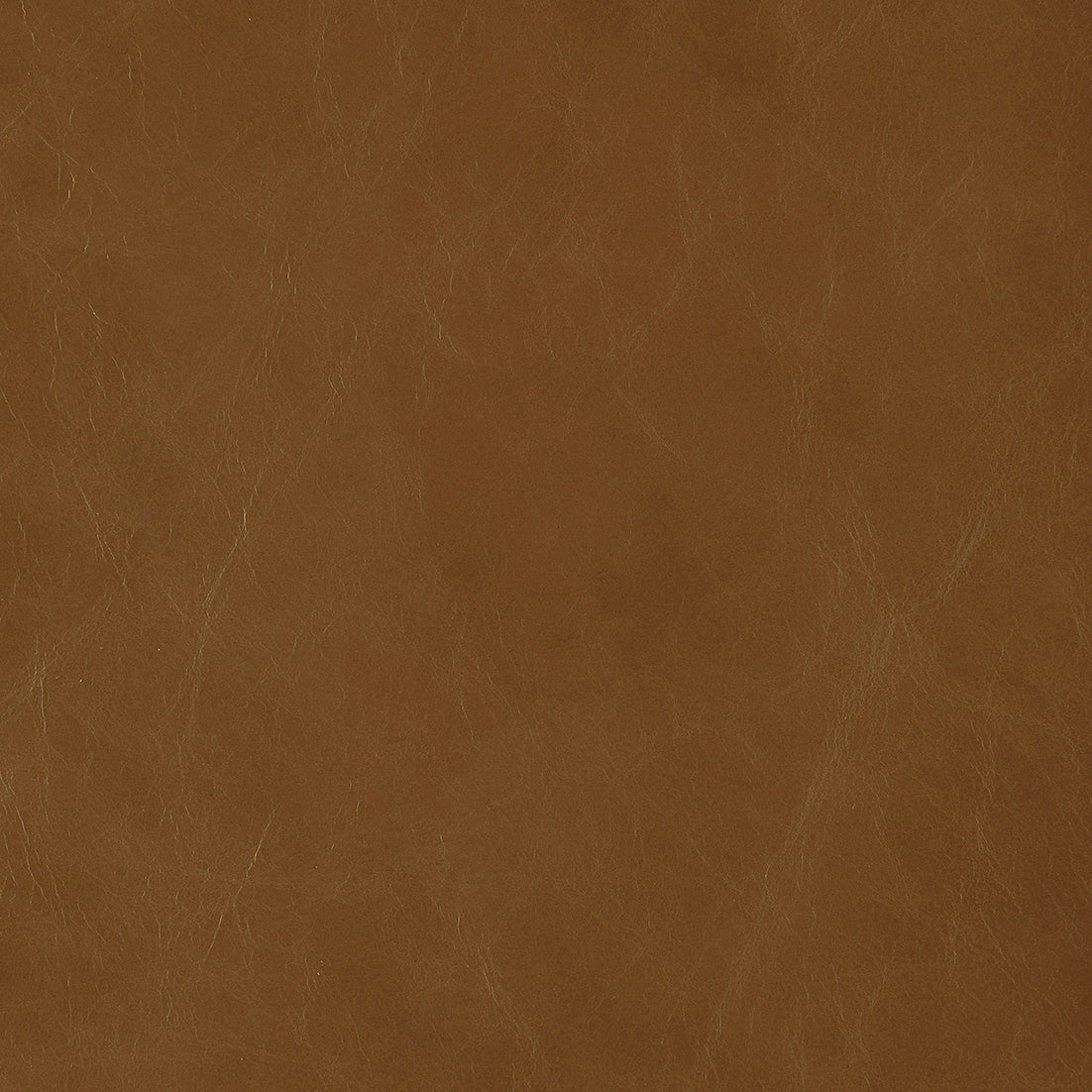 Waxed Leather