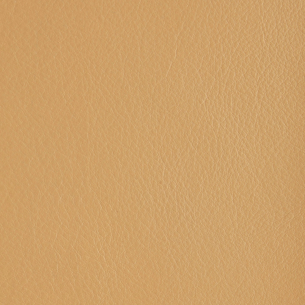 Aniline Leather