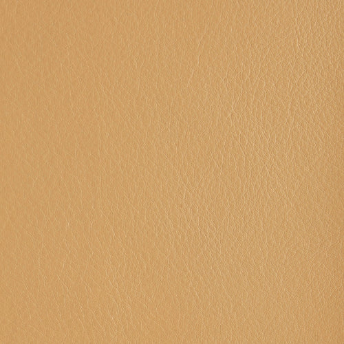 Aniline Leather