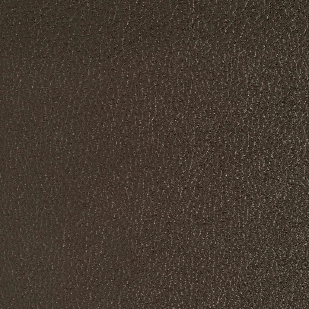 Aniline Leather