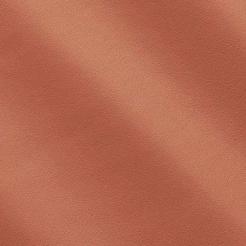 Linea