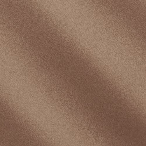 Linea