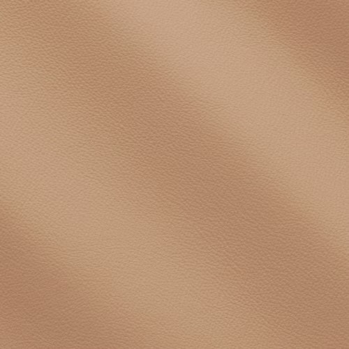 Linea