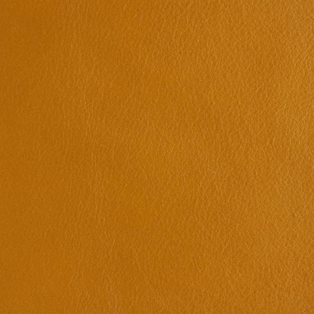 Aniline Leather