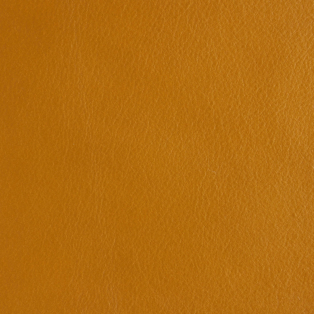 Aniline Leather
