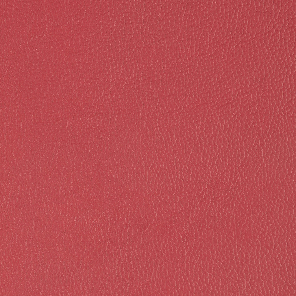 Corrected Leather