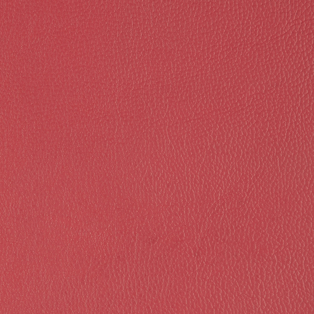 Corrected Leather