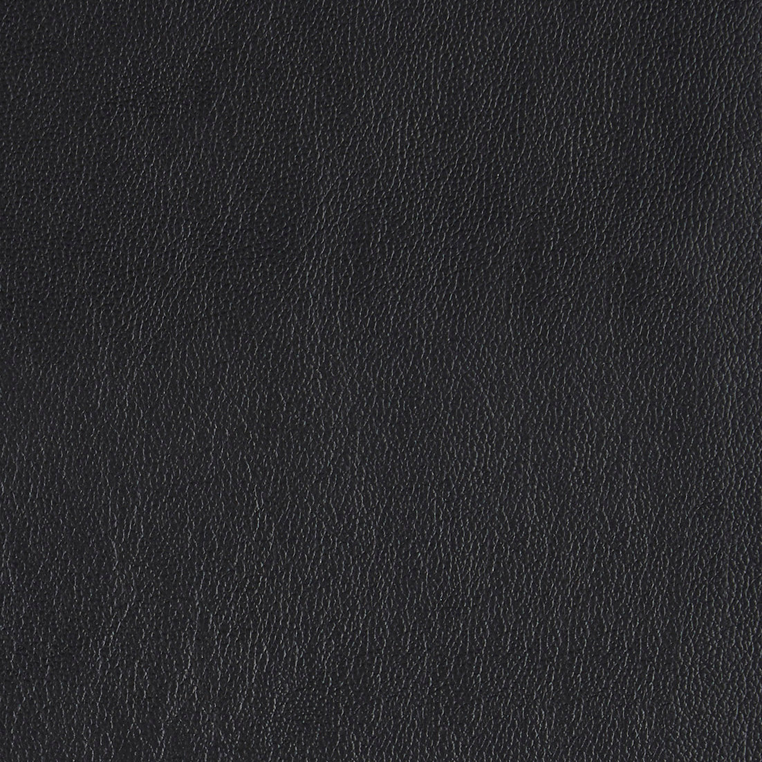 Corrected Leather