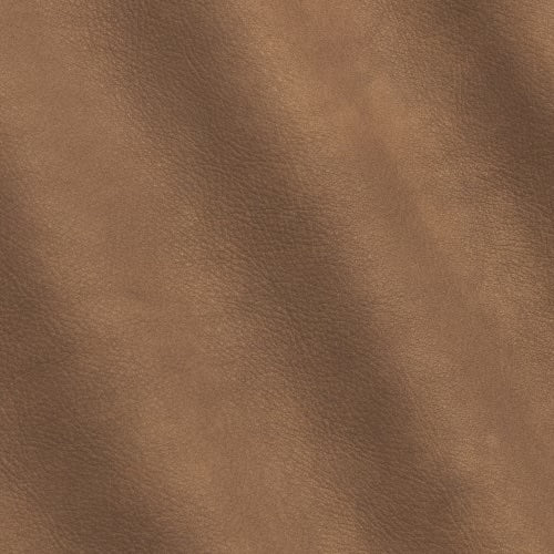 Sequoia