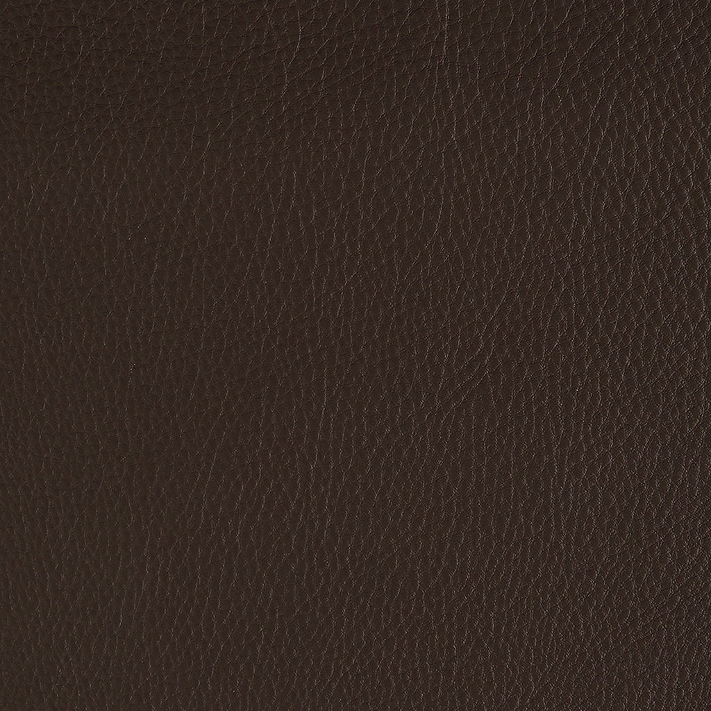 Aniline Leather