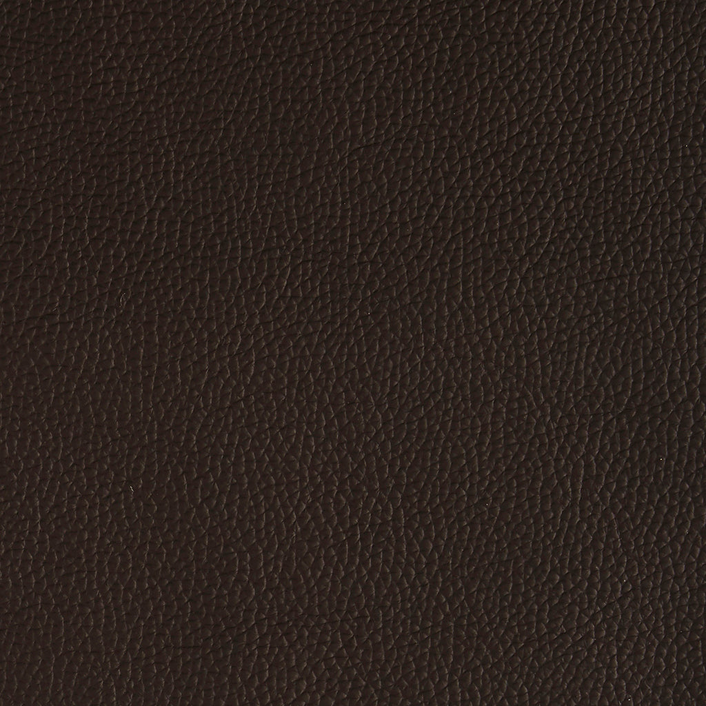 Corrected Leather