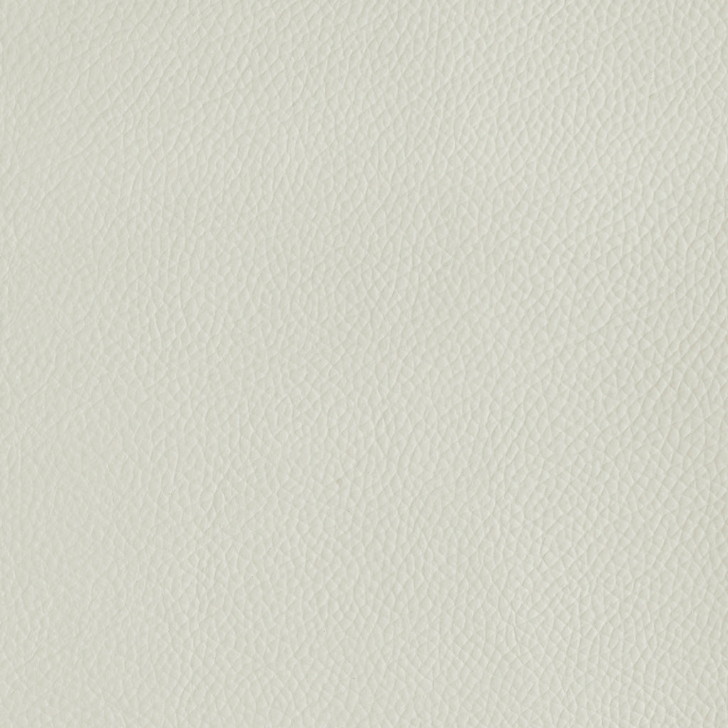 Corrected Leather