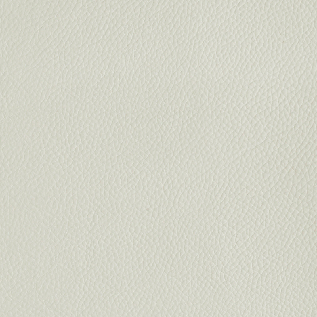 Corrected Leather