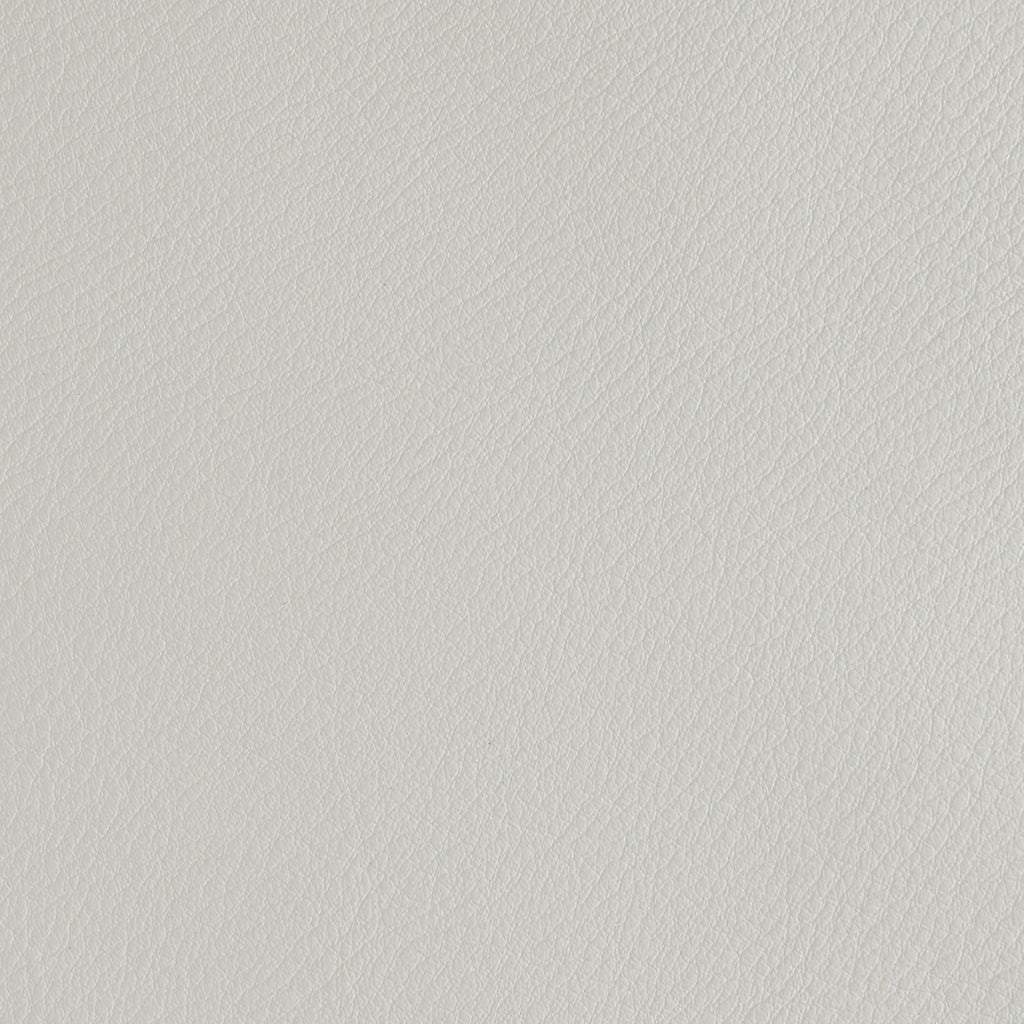 Aniline Leather