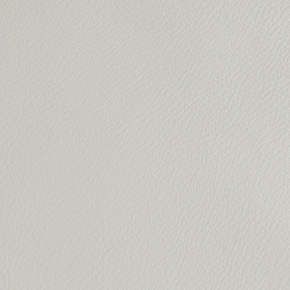 Aniline Leather