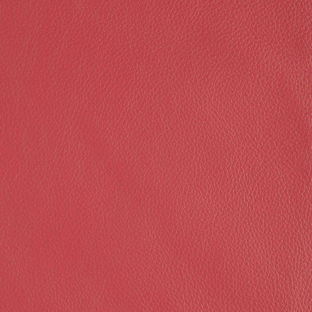 Aniline Leather