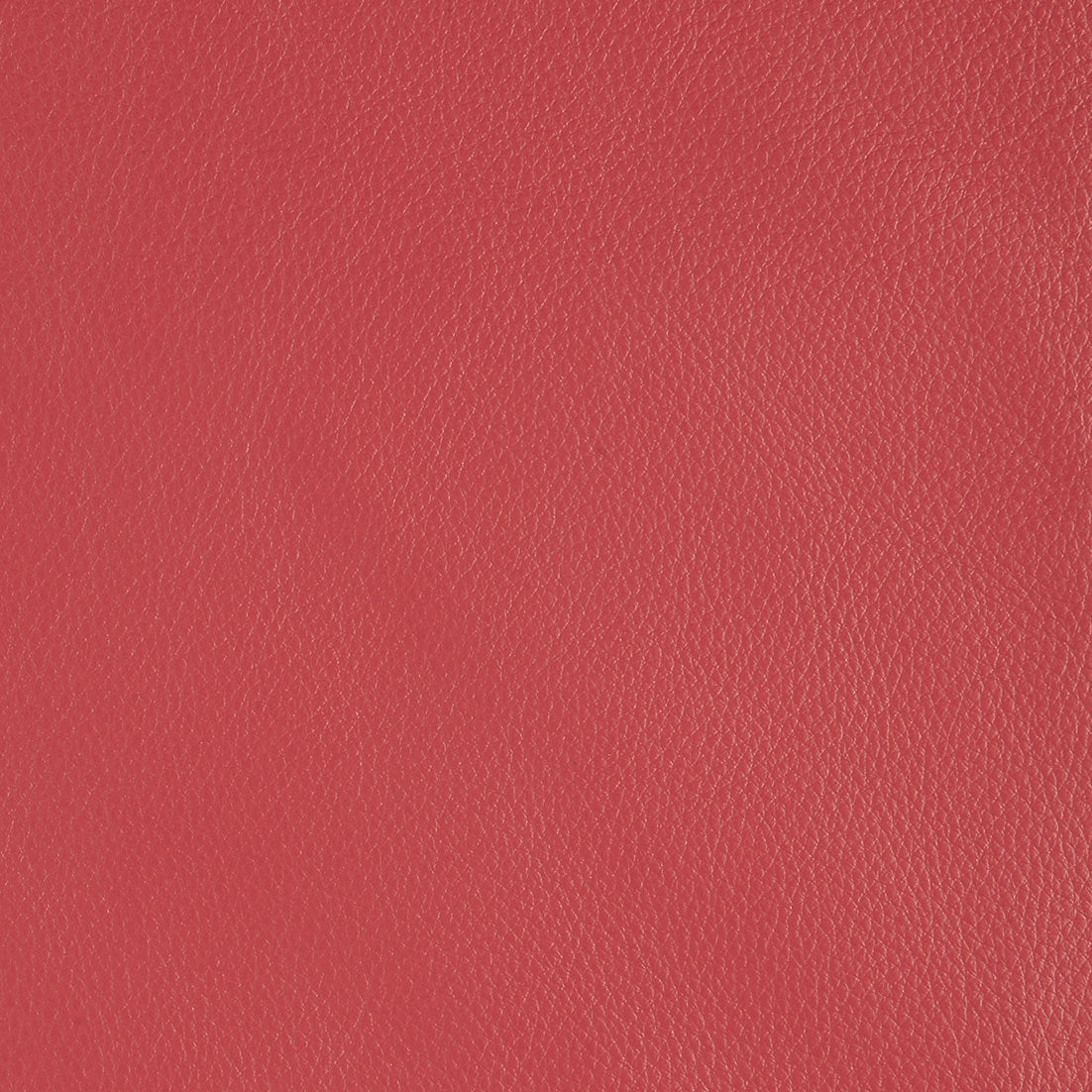 Aniline Leather